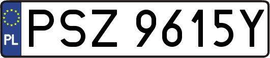 PSZ9615Y