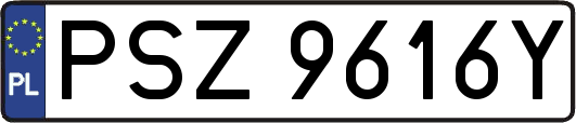PSZ9616Y