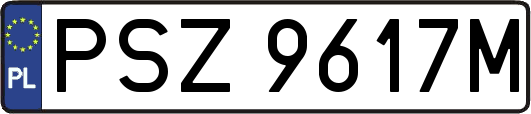 PSZ9617M