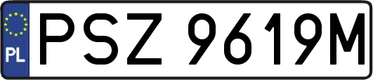 PSZ9619M