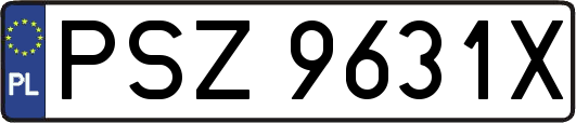 PSZ9631X