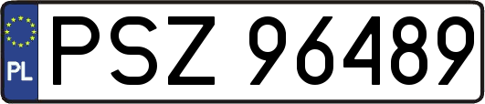 PSZ96489