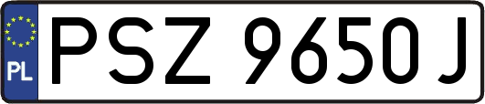 PSZ9650J