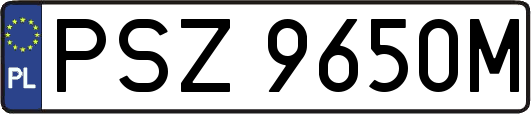 PSZ9650M