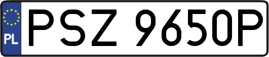 PSZ9650P