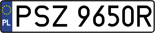PSZ9650R