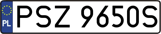 PSZ9650S