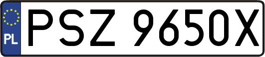 PSZ9650X