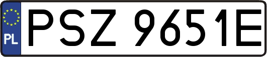 PSZ9651E