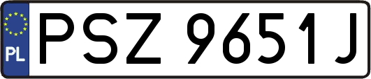 PSZ9651J