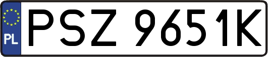 PSZ9651K