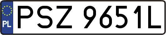 PSZ9651L