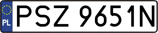 PSZ9651N