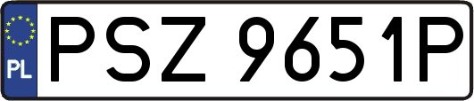 PSZ9651P