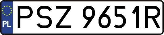 PSZ9651R