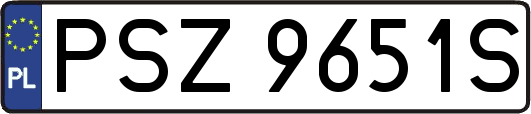 PSZ9651S