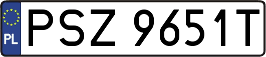 PSZ9651T
