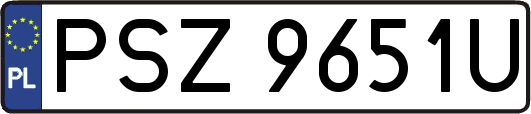 PSZ9651U