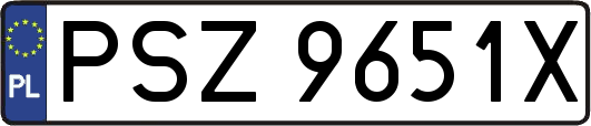 PSZ9651X