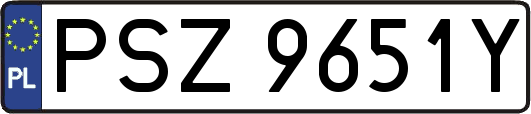 PSZ9651Y