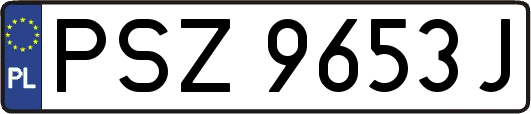 PSZ9653J