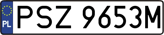 PSZ9653M