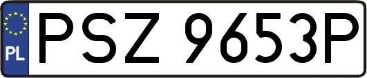 PSZ9653P