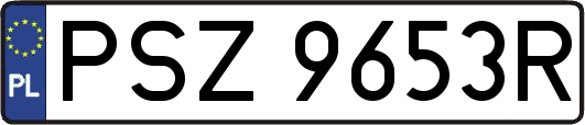 PSZ9653R