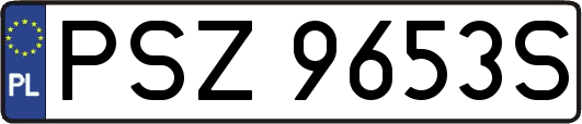 PSZ9653S