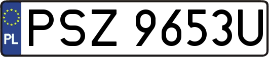 PSZ9653U