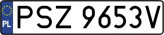 PSZ9653V