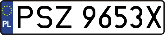 PSZ9653X