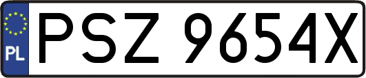 PSZ9654X