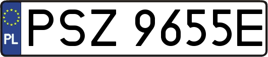 PSZ9655E