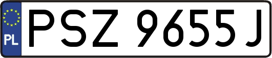 PSZ9655J