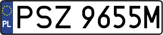 PSZ9655M