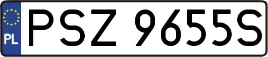 PSZ9655S