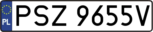 PSZ9655V