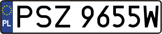 PSZ9655W