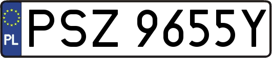 PSZ9655Y
