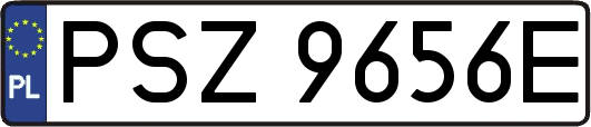 PSZ9656E