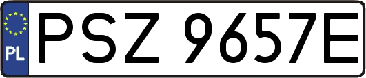 PSZ9657E