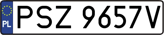 PSZ9657V
