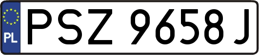 PSZ9658J