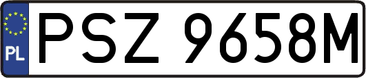 PSZ9658M