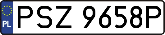 PSZ9658P