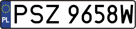 PSZ9658W