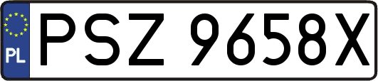 PSZ9658X