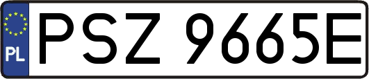 PSZ9665E