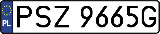 PSZ9665G